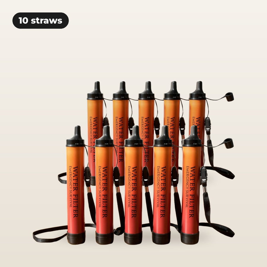 10-pack: ten Fallback filter straws